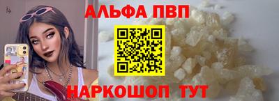 стаф Кингисепп
