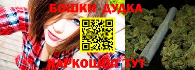 стаф Кингисепп
