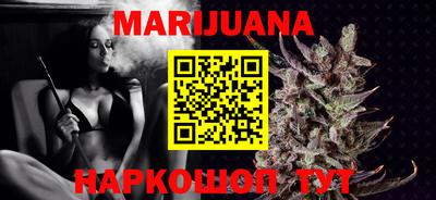 стаф Кингисепп