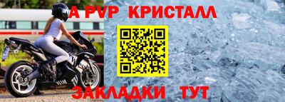 стаф Кингисепп