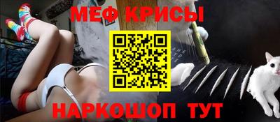 стаф Кингисепп